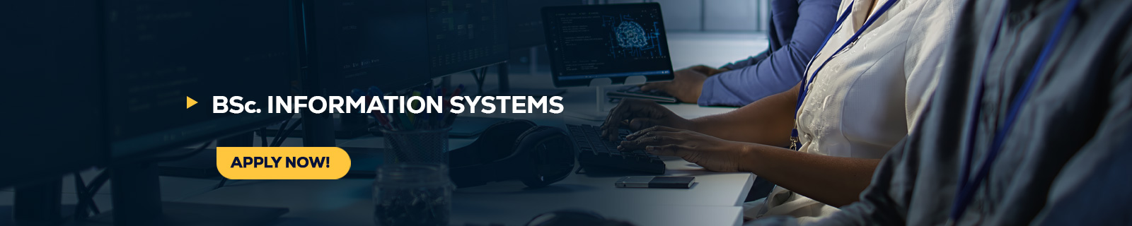 BSc Information Systems